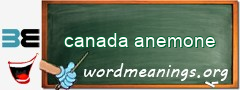 WordMeaning blackboard for canada anemone